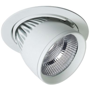 Easyform R-Flex Downlight 25W, vit